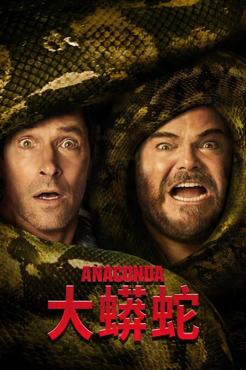 大蟒蛇